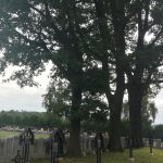 Zdjęcie przedstawia lewą część cmentarza, na której widac nagrobki poległych żołnierzy oraz trzy drzewa.